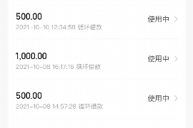 吉水吉水专业催债公司的催债流程和方法